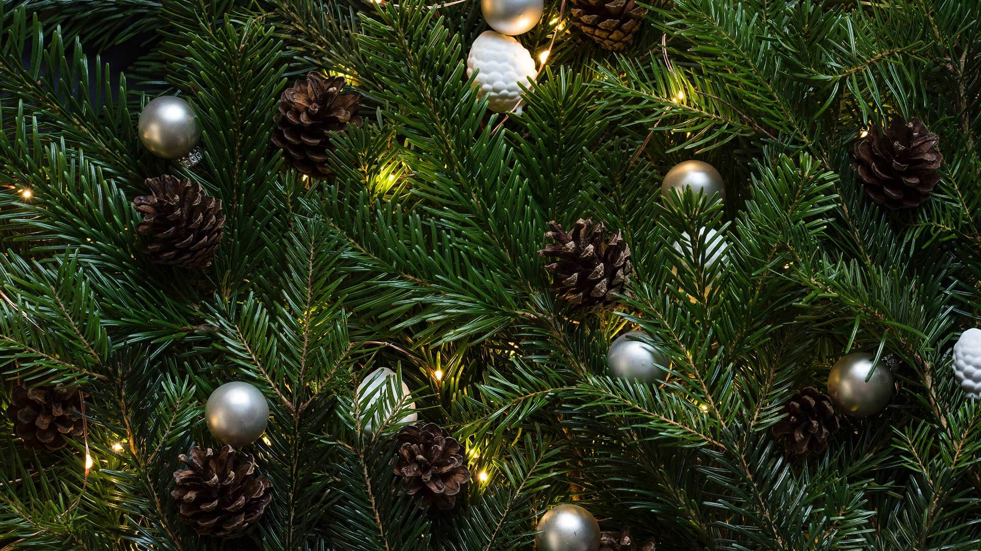 close up of Christmas tree with decorations