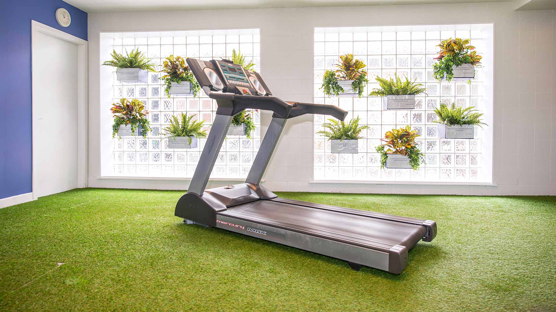 Area of Cork Airport Hotel Gym with treadmill and glass wall filled with plants