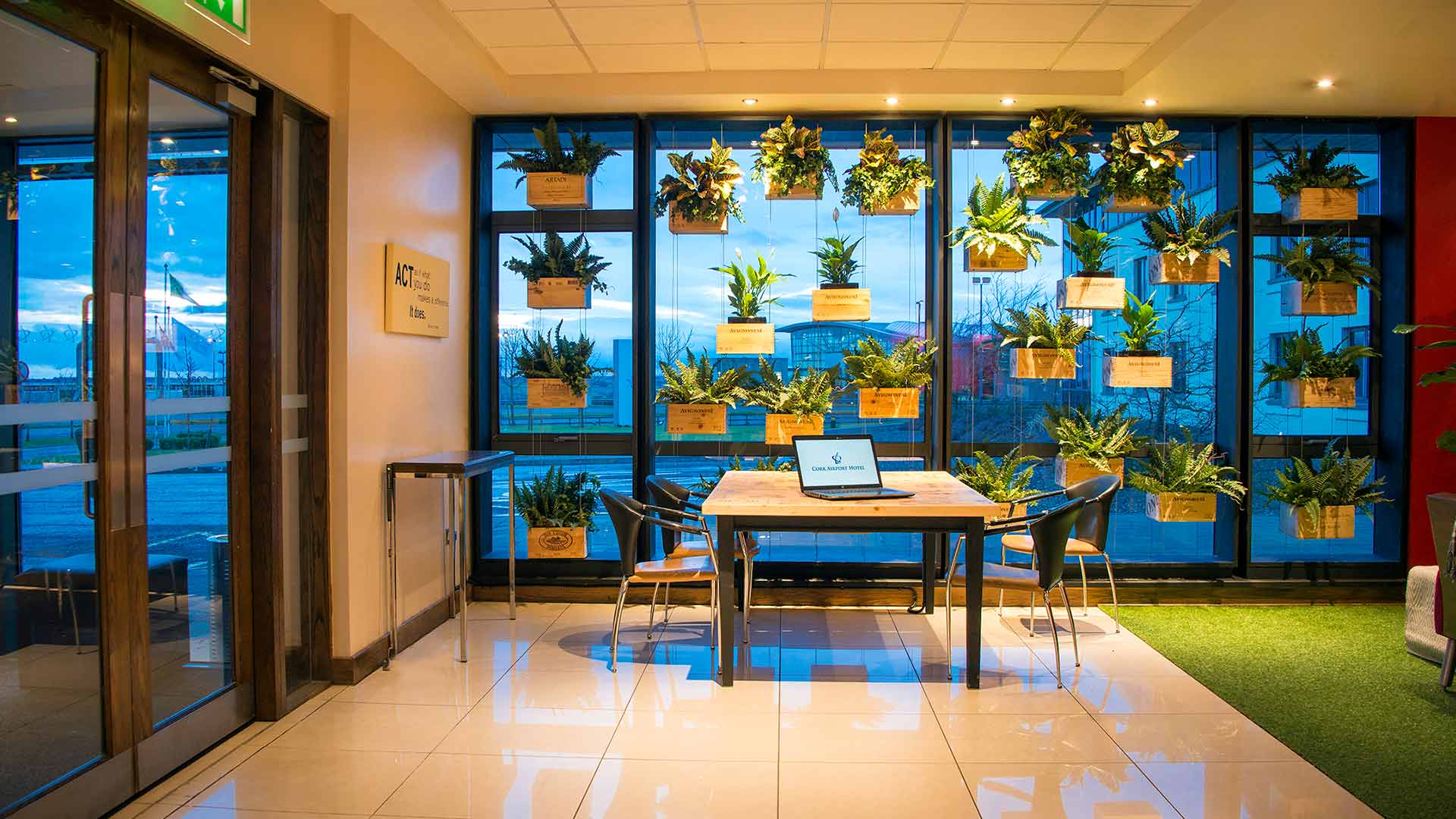 Window filled with many hanging plant baskets in Cork Airport Hotel lobby