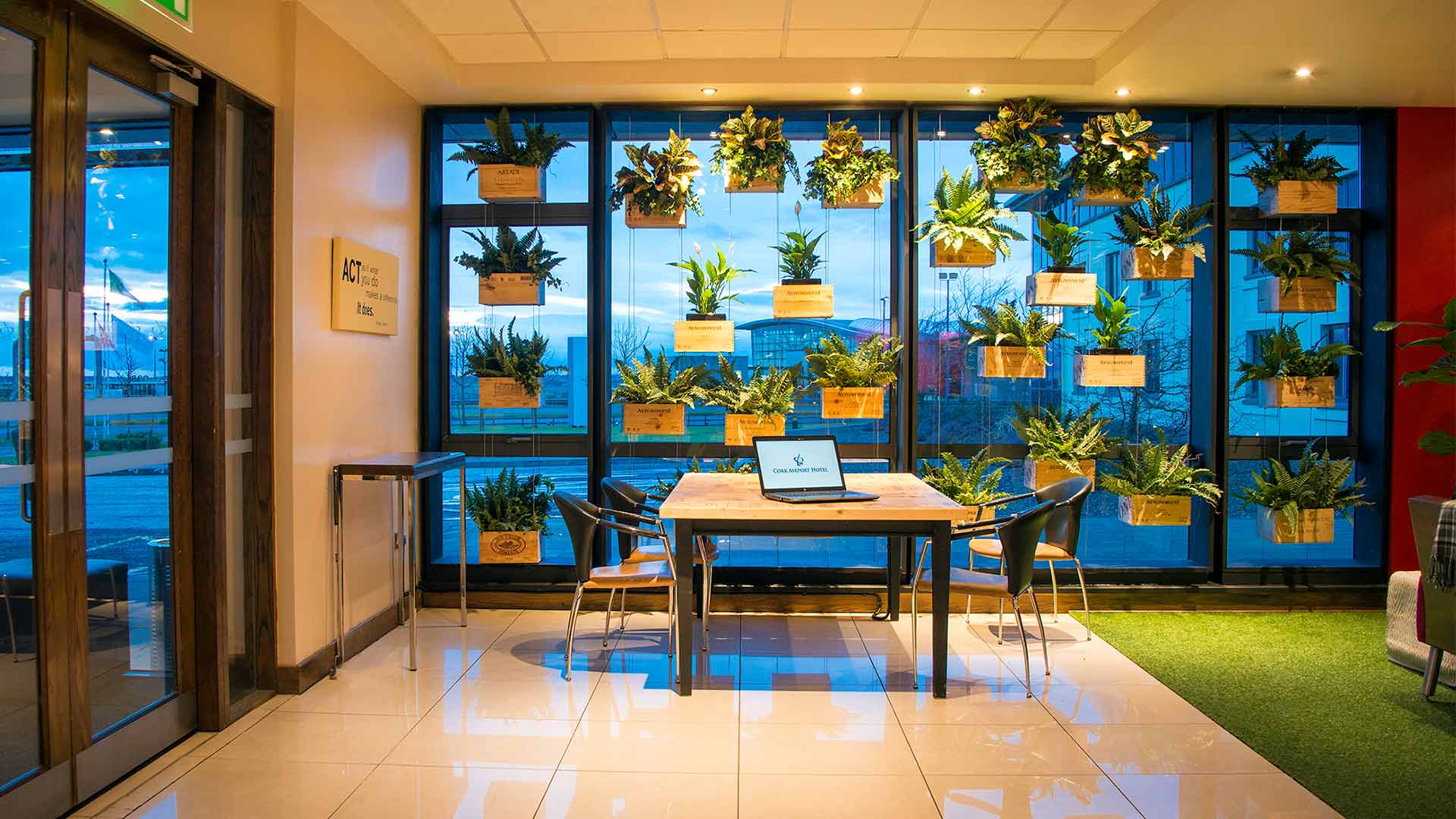 Plants in numerous handing baskets in the Cork Airport Lobby
